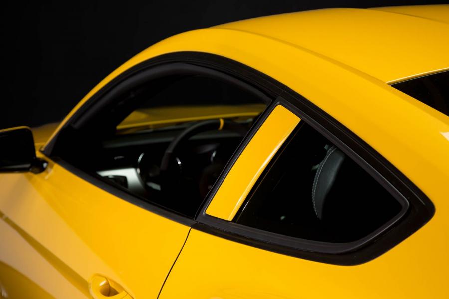 Детали экстерьера Saleen S302 Mustang Black Label 2015 года  (фото 17 из 28)